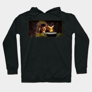 Temple of the Golden Pup Hoodie